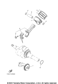 Crankshaft Piston