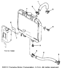 Radiator Hose