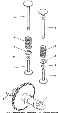 Camshaft Valve Yp30t
