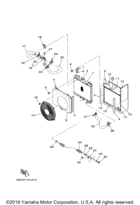 Radiator Hose
