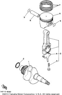 Crankshaft - Piston