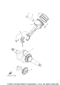 Crankshaft & Piston