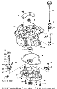 Cylinder - Crankcase