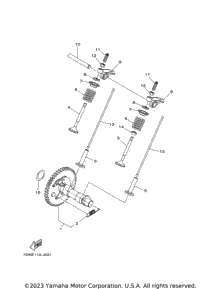 Camshaft & Valve