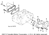 Manifold