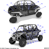 Body, Decals
