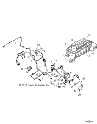 Electrical, Wire Harness