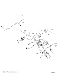 Electrical, Wire Harnesses