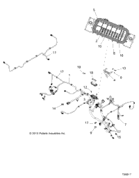 Electrical, Wire Harnesses