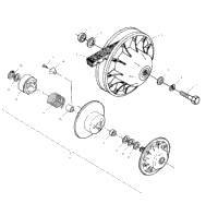 Driven Clutch