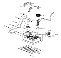 Engine, Fuel System