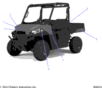 Body, Decals Graphics