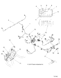 Electrical, Harnesses
