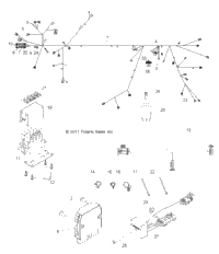 Electrical, Wire Harness