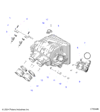 Engine, Intake Manifold, Throttle Body, Fuel Rail