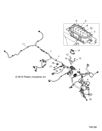 Electrical, Wire Harnesses