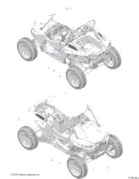 Body, Decals Graphics