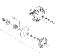 Driven Clutch