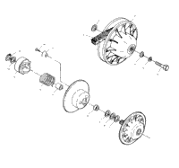 Driven Clutch