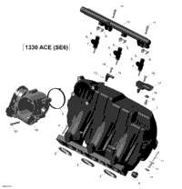 Rotax - Air Intake Manifold And Throttle Body