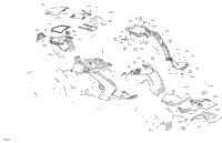 Body - Upper Section