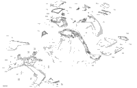 Body - Upper Section