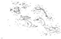 Body - Upper Section