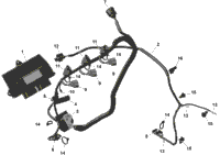 Rotax - Engine Harness And Electronic Module