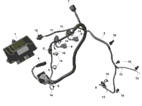 Rotax - Engine Harness And Electronic Module