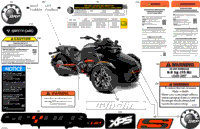 Body - Decals