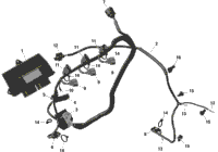 Rotax - Engine Harness And Electronic Module