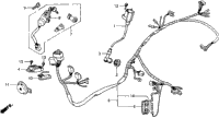 Wire Harness