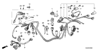 Wire Harness