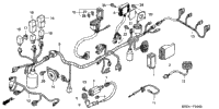Wire Harness