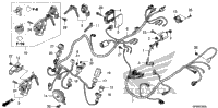 Wire Harness
