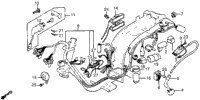 Wire Harness + Ignition Coil