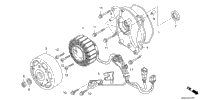 Alternator Stator