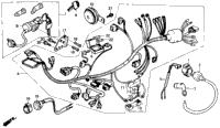 Wire Harness