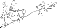 Wire Harness