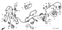 Wire Harness