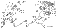 Wire Harness