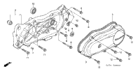 Swingarm + Left Crankcase Cover