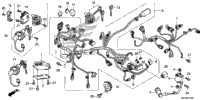 Wire Harness