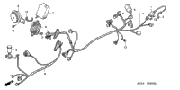 Wire Harness