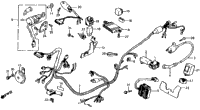 Wire Harness