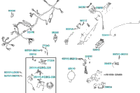 Wire Harness