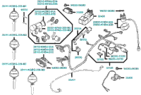 Wire Harness