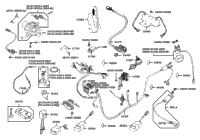 Wiring Harness / Electrical Components