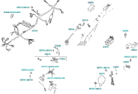 Wire Harness