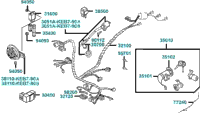 Wire Harness